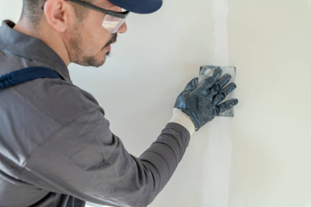 Best Post-Remediation Verification Testing  in Reedsville, WI
