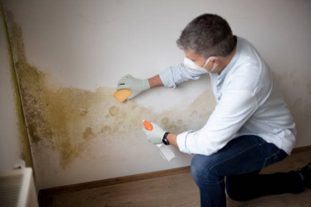 Mold Exposure & Symptoms