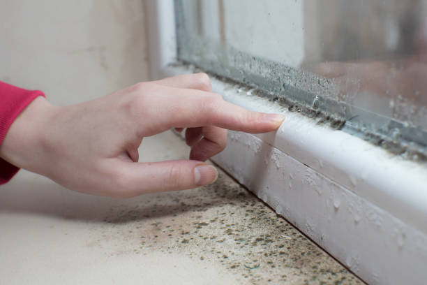 Best Air Quality Testing for Mold Spores  in Reedsville, WI