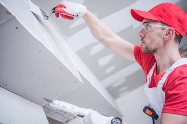 Best Emergency Mold Remediation  in Reedsville, WI